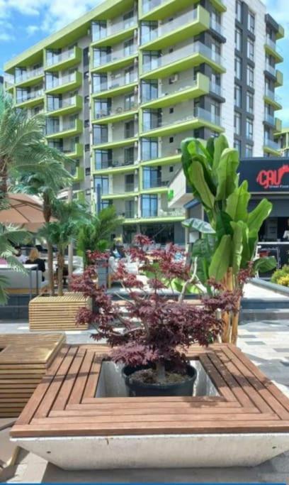 Alezzy Beach Apartament Prima Linie La Mare Navodari Ngoại thất bức ảnh